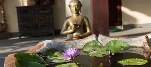 Buddha lotus